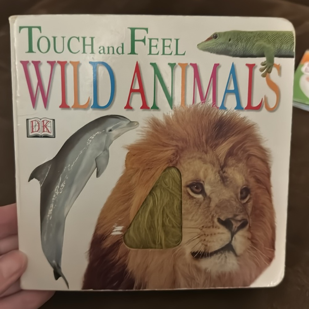 Baby/Toddler book bundle - Picture 6 of 13